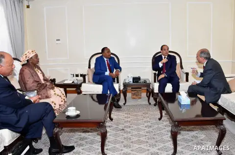 Egyptian President Abdel Fattah al-Sisi meets with President of Niger Mahamadou Issoufou, in Kigali, Rwanda, on July 18, 2016. Photo by Egyptian President Office