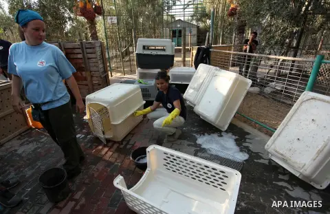 Members of the international animal welfare charity "Four Paws" clean cages at a zoo in Khan Yunis, in the southern Gaza Strip, prior to evacuating all the animals at the zoo out of the Palestinian enclave on Aug. 23, 20...
