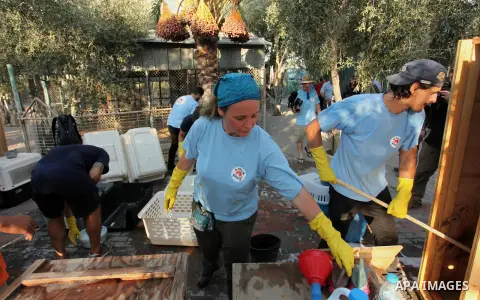 Members of the international animal welfare charity "Four Paws" clean cages at a zoo in Khan Yunis, in the southern Gaza Strip, prior to evacuating all the animals at the zoo out of the Palestinian enclave on Aug. 23, 20...