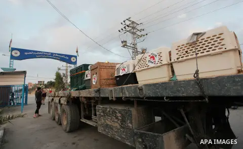 Members of the international animal welfare charity "Four Paws" transport animals across the Erez border crossing into Israel after evacuating them from the zoo in Khan Yunis in the southern Gaza Strip on August 24, 2016...