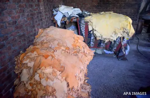 Hides of animals is sorted before drying them, at a leather tannery, in Cairo, Egypt, on August 28, 2016. Photo by Amr Sayed