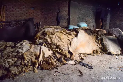 Hides of animals is sorted before drying them, at a leather tannery, in Cairo, Egypt, on August 28, 2016. Photo by Amr Sayed