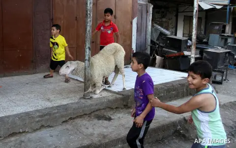 Palestinian Muslims sacrifice animals on the first day of of Eid al-Adha or the feast of sacrifice, in Rafah in the southern Gaza Strip on September 12, 2016. Muslims across the world are celebrating the annual festival...