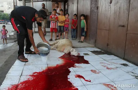Palestinian Muslims sacrifice animals on the first day of of Eid al-Adha or the feast of sacrifice, in Rafah in the southern Gaza Strip on September 12, 2016. Muslims across the world are celebrating the annual festival...