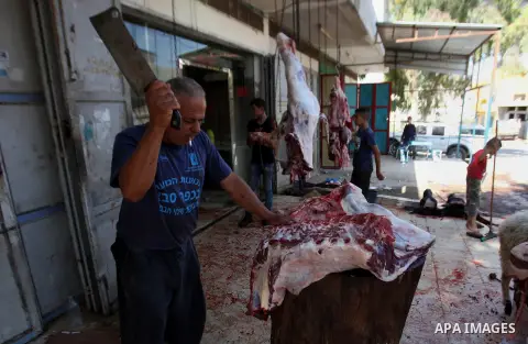 Palestinian Muslims sacrifice animals on the second day of of Eid al-Adha or the feast of sacrifice, in the West Bank city of Nablus on September 13, 2016. Muslims across the world are celebrating the annual festival of...