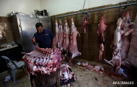 Palestinian Muslims sacrifice animals on the second day of of Eid al-Adha or the feast of sacrifice, in the West Bank city of Nablus on September 13, 2016. Muslims across the world are celebrating the annual festival of...