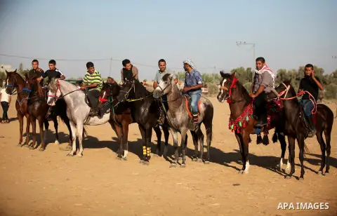 Palestinians ride horses during a Bedouin festival in Dair Al Balah in the central Gaza Strip September 16, 2016. Photo by Ashraf Amra