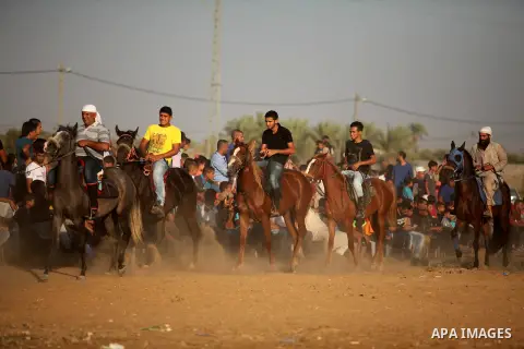 Palestinians ride horses during a Bedouin festival in Dair Al Balah in the central Gaza Strip September 16, 2016. Photo by Ashraf Amra