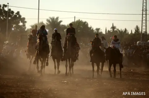 Palestinians ride camels during a Bedouin festival in Dair Al Balah in the central Gaza Strip September 16, 2016. Photo by Ashraf Amra