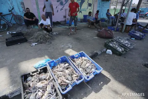 Palestinian fishermen display the crabs for sell at the beach in Gaza City, on Sept. 21, 2016. Photo by Mohammed Asad