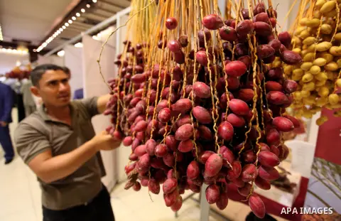 Palestinians attend an exhibition "Palestine Balah Expo", in Gaza city, on Oct. 09, 2016. Photo by Ashraf Amra