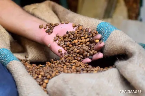 An Egyptian man makes a coffee at a factory, in Cairo, Egypt on October 11, 2016. The shop of Abdul Salam Al-banan is one of the oldest shops of the coffee industry in Egypt. Photo by Amr Sayed