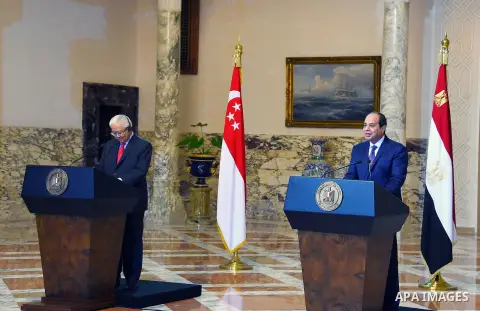 Egyptian President Abdel Fattah al-Sisi and Singapore's President Tony Tan hold joint a press conference at the Presidential Palace in Cairo, Egypt, on October 31, 2016. Photo by Egyptian President Office