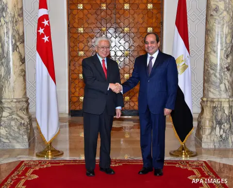 Egyptian President Abdel Fattah al-Sisi shake hands and Singapore's President Tony Tan during a meeting at the Presidential Palace in Cairo, Egypt, on October 31, 2016. Photo by Egyptian President Office