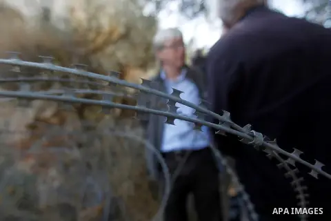 Deputy British Consul General, James Downer picks olives during harvest season in Tal Rumaida in the West Bank city of Hebron, on November 3, 2016, governmental and nongovernmental organization with participation of inte...