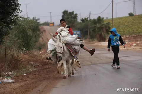 A Palestinian boy rides a donkey carrying bags of cabbage after working in a field in the West Bank village of Nassariya near Nablus November 30, 2016.. Photo by Nedal Eshtayah