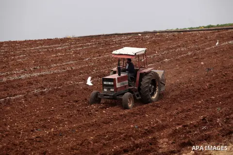 A Palestinian farmer uses a plough in a field in the West Bank village of Nassariya near Nablus November 30, 2016. Photo by Nedal Eshtayah