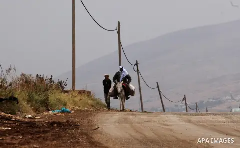 A Palestinian man rides a donkey carrying bags of cabbage after working in a field in the West Bank village of Nassariya near Nablus November 30, 2016.. Photo by Nedal Eshtayah