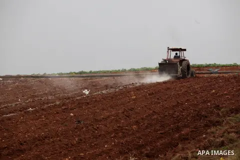 A Palestinian farmer uses a plough in a field in the West Bank village of Nassariya near Nablus November 30, 2016. Photo by Nedal Eshtayah