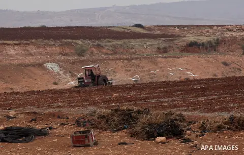 A Palestinian farmer uses a plough in a field in the West Bank village of Nassariya near Nablus November 30, 2016. Photo by Nedal Eshtayah