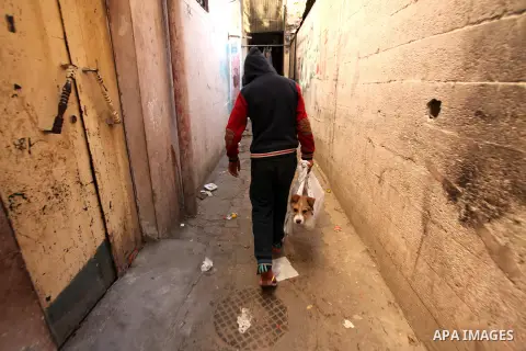 A Palestinian man carries a dog in Gaza City on December 25, 2016 . Photo by Ashraf Amra