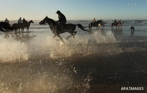 Palestinian men ride their horse as they enjoy the last sunset of 2016 at the beach of Gaza city, on the December 31, 2016. Photo by Ashraf Amra