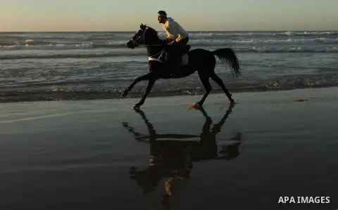 A Palestinian man rides his horse as he enjoy the last sunset of 2016 at the beach of Gaza city, on the December 31, 2016. Photo by Ashraf Amra