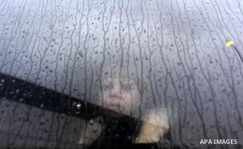 A Palestinian boy sits in a bus as they wait to cross into Egypt through the Rafah border crossing after it was opened by Egyptian authorities for humanitarian cases, in Rafah in the southern Gaza Strip January 28, 2017....