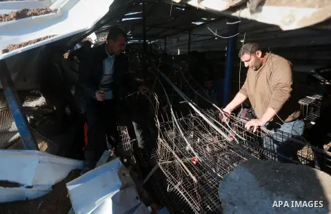 Palestinians inspect the damage to a chicken farm in Gaza City's eastern suburb of Shujaiya on February 7, 2017, following a series of strikes carried out the day before by Israeli forces against the Hamas movement in th...