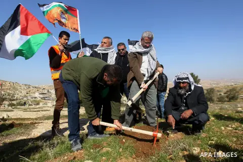 Palestinians plant trees during a demonstration against the construction of Jewish settlements in the occupied West Bank city of Hebron, on February 10, 2017. Photo by Wisam Hashlamoun
