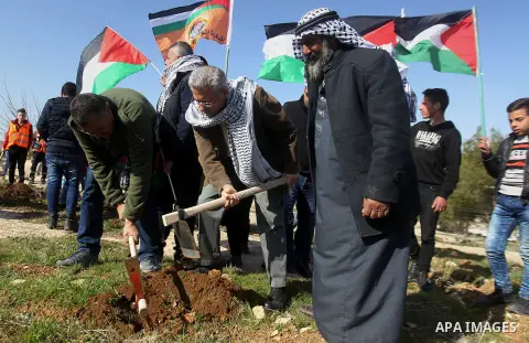 Palestinians plant trees during a demonstration against the construction of Jewish settlements in the occupied West Bank city of Hebron, on February 10, 2017. Photo by Wisam Hashlamoun