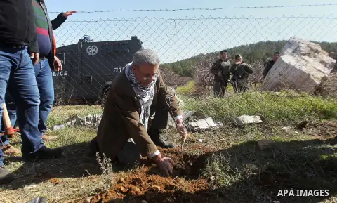 Palestinians plant trees during a demonstration against the construction of Jewish settlements in the occupied West Bank city of Hebron, on February 10, 2017. Photo by Wisam Hashlamoun