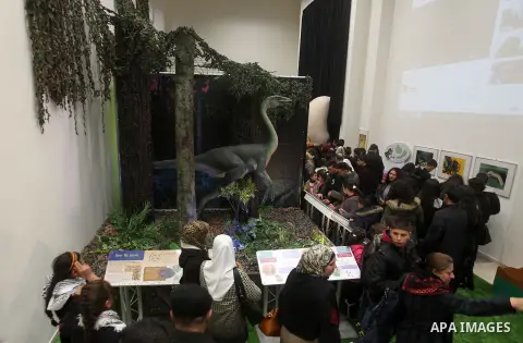 Visitors look at a model of the Polacanthus Dinosaurs during the opening ceremony of the Baby Dinosaurs and Giant Insect Exhibition, in the West Bank city of Bethlehem, Tuesday, March 14, 2017. The exhibition was donated...