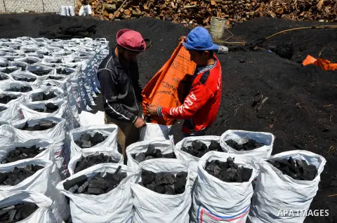 Egyptian workers collect a coal at a work field in Zagazig, Sharqiya Governorate, about 62.5 km (38.8 miles) northeast of Cairo, on April 5, 2017. Photo by Amr Sayed