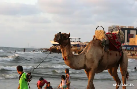 Palestinians enjoy their time at the beach of the Mediterranean sea on the coast of Gaza city on July 19, 2017. Photo by Yasser Qudih