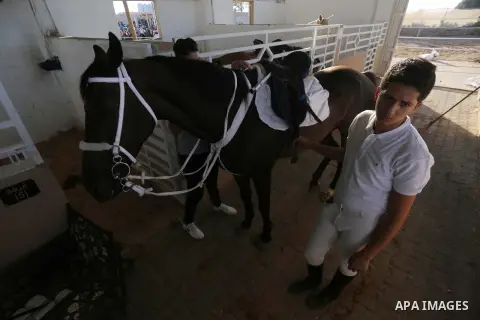 Palestinian boys prepares their horses before a jump obstacles championship, in Gaza city on August 4, 2017. Photo by Mohammed Asad