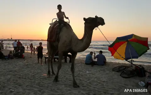 Palestinians enjoy their time at the beach of the Mediterranean sea on the coast of Gaza city on August 4, 2017. Photo by Ashraf Amra