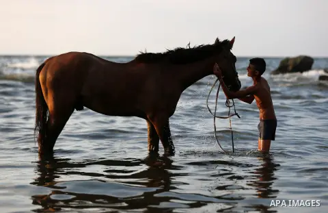 A Palestinian youth plays with his horse at the beach of the Mediterranean sea on the coast of Gaza city on August 9, 2017. Photo by Yasser Qudih