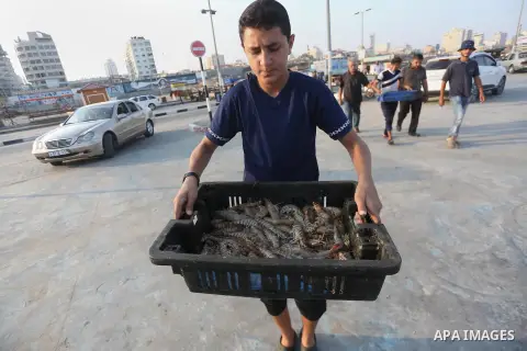 Palestinian fishermen display fish for sale, in Gaza seaport, on August 10, 2017. Photo by Mohammed Asad
