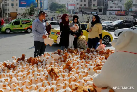 Palestinians buy toys of sheep at a market ahead of the Eid al-Adha festival in the West Bank city of Hebron, on August 21, 2017. Photo by Wisam Hashlamoun