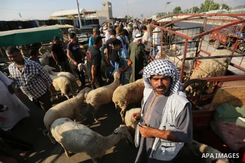 Palestinians gather at a live stock market, ahead of Eid al-Adha in Deir al-Balah, in the center of the Gaza Strip on August 22, 2017. Eid al-Adha (the Festival of Sacrifice) is celebrated throughout the Muslim world as...
