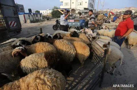 Palestinians gather at a live stock market, ahead of Eid al-Adha, in Gaza city on August 25, 2017. Eid al-Adha (the Festival of Sacrifice) is celebrated throughout the Muslim world as a commemoration of Abraham's willing...