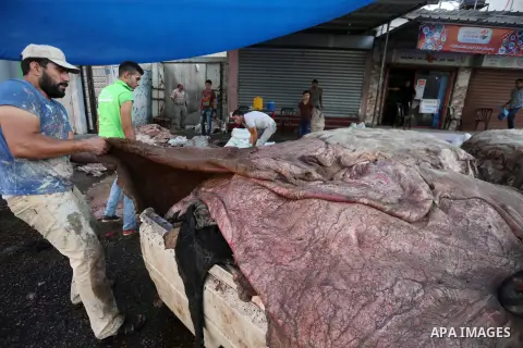 Palestinian leather tannery workers, salt the hides of sacrificial animals before drying them, during third day of Eid al-Adha or the feast of sacrifice, in a workshop in Gaza city on September 3, 2017. Muslims around th...