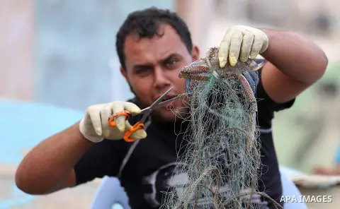 A Palestinian fisherman collects the crabs from his net for sell at the beach in Gaza City, on Sept. 14, 2017. Photo by Yasser Qudih