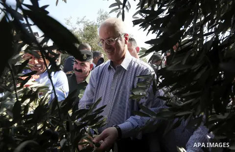 Palestinian Prime Minister Rami Hamdallah takes part in the 17th annual olive picking festival in Tekoa village near the West Bank city of Bethlehem, on October 25, 2017. Photo by Prime Minister Office
