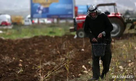 An elderly Palestinian farmer sows wheat during clashes between Palestinian protesters and Israeli security forces near the Huwwara checkpoint, near the West Bank city of Nablus on December 27, 2017. Photo by Shadi Jarar...