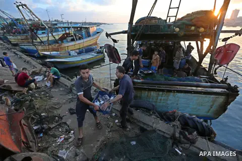 Palestinian fishermen collect fish for sale, at Gaza seaport, on August 15, 2018. The fishing zone off Gaza's coast was also restored to 17km (nine nautical miles), having been reduced to 6km. Photo by Ashraf Amra