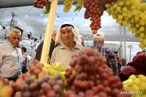 Palestinians attend the Palestinian grapes festival in Halhoul village, near the West Bank city of Hebron, on September 10, 2018. Hebron is very famous in grape production as it contains many fields of grapes, the summer...