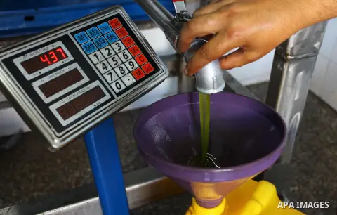 A Palestinian man pours newly-made olive oil into a plastic container at an olive press in Gaza city, on October 2, 2018. Photo by Mahmoud Ajjour