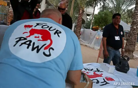 A member of the international animal welfare charity "Four Paws" prepare equipments at a zoo in Rafah in the southern Gaza Strip, during the evacuation of animals from the Palestinian enclave to relocate to sanctuaries i...